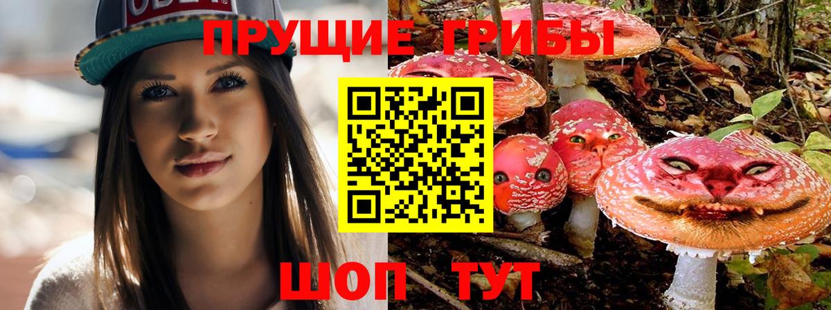 Псилоцибиновые грибы мухоморы Дальнереченск