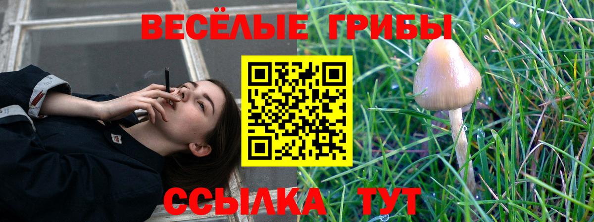 Галлюциногенные грибы мухоморы  Галлюциногенные грибы GOLDEN TEACHER  Дальнереченск  Вход с VPN 